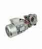 МОТОР-РЕДУКТОР 3-Х ФАЗНЫЙ2-Х СКОРОСТНОЙ ТЕСТОМЕСА  APACH ASM48R 2S  АРТ5M010512