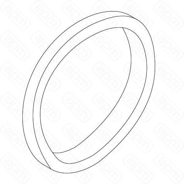 Уплотнительное кольцо нагревательного элемента PTFE D49 Sanremo арт10502015
